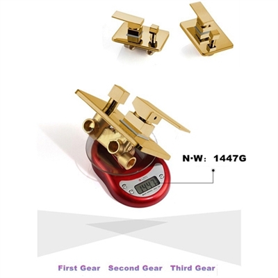 Fontana Lima 16 ” Shiny Gold Finish Water Mixer Wall Shower Faucet Set, All in One Installation Manuals