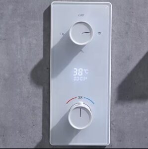 Thermostatic mixing valves (TMVs) Code Requirements by Region, All in One Installation Manuals