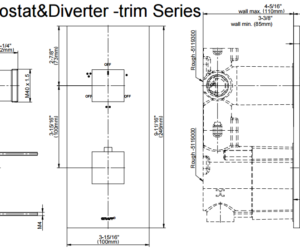 Fontana Solid Brass Gold Tone Finish Concealed Thermostatic Shower Valve Mixer 2 Way