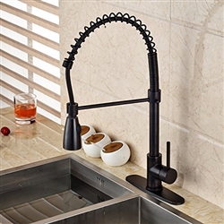 Tindouf Oil Rubbed Bronze Kitchen Sink Faucet with Pull Down Sprayer, All in One Installation Manuals
