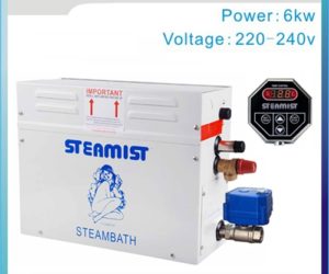 Steam-Generator Installation