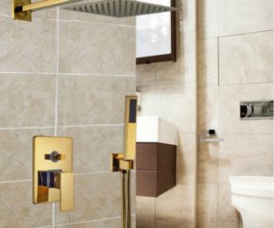 Fontana Brass Gold tone Shower Set