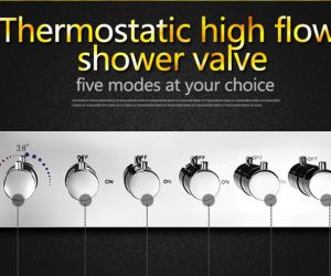 6 Function Thermostatic mixer