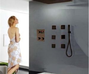 Royal Rainfall LED Shower System