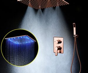 BathSelect Wonderful 20-Inch Rainfall Shower Head With Hand Shower